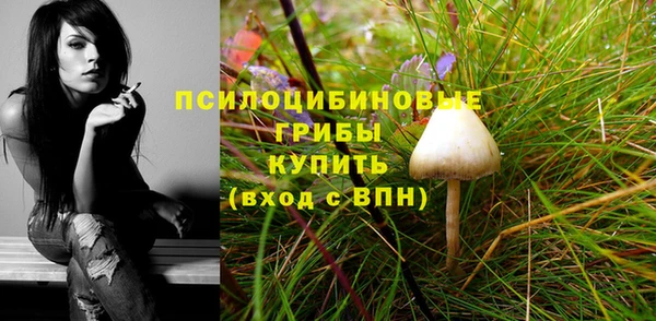 2c-b Абдулино