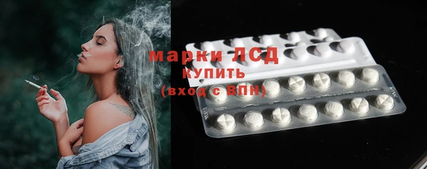 ПСИЛОЦИБИНОВЫЕ ГРИБЫ Абаза
