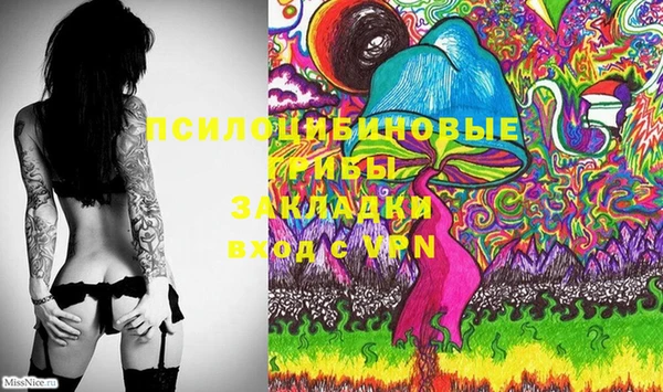 ПСИЛОЦИБИНОВЫЕ ГРИБЫ Абаза