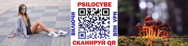 гидра рабочий сайт  маркетплейс как зайти  Тула  Псилоцибиновые грибы MAGIC MUSHROOMS  наркотики 