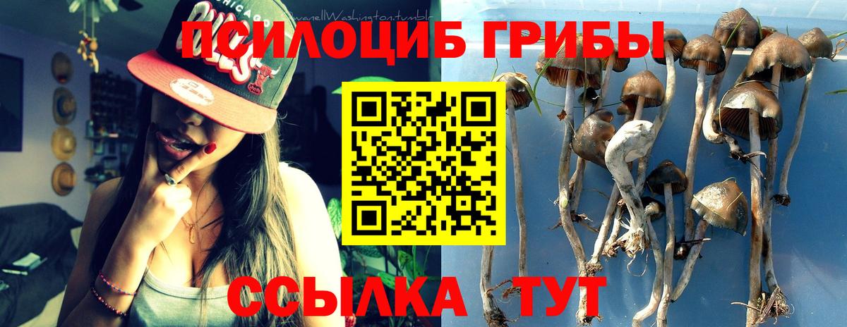 Галлюциногенные грибы GOLDEN TEACHER Тула