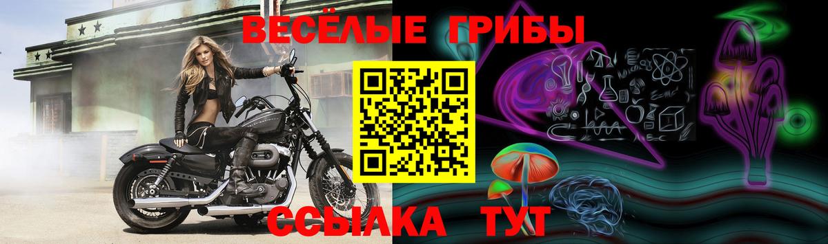 Тула  Псилоцибиновые грибы MAGIC MUSHROOMS  Вход с VPN 